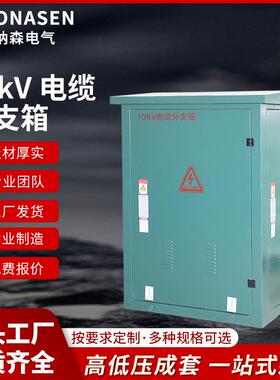 10KV高压欧式电缆分支箱DFW-12/630一进二三四出分接箱