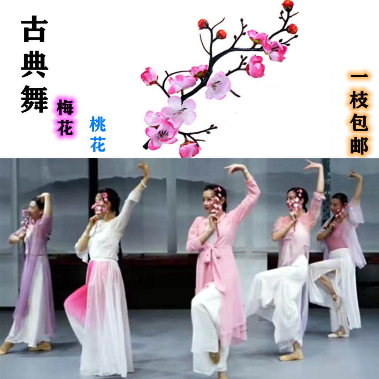 古典舞逃之夭夭灼灼其华真梅花枝腊梅桃花粉色儿童演出舞蹈道具