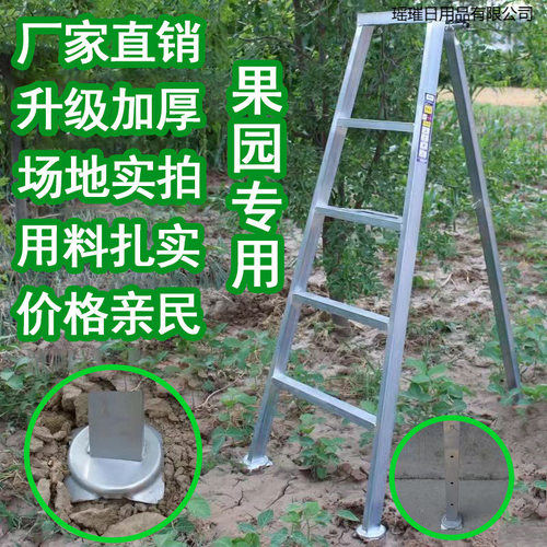 园艺采摘加厚折叠三角梯