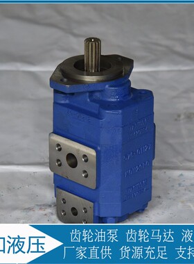 泊姆克双联齿轮油泵厂家直供1121012672 .1150041595 1121012179