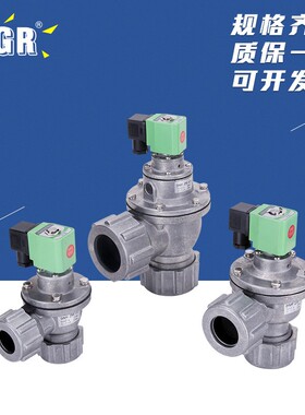 供应DMF-ZM-252040S袋式螺母式脉冲阀 脉冲电磁阀直角脉冲阀