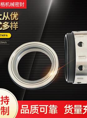 厂家供应 前置泵用机械密封 集装式机械密封 8B1D机械密封
