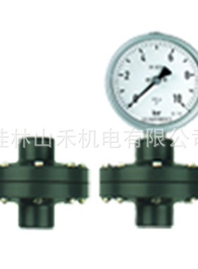 菲索AFRISO压力表塑料型 MD 10
