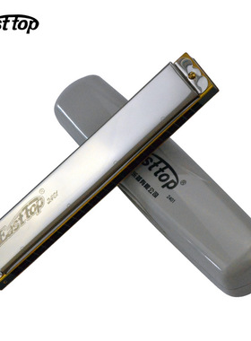 东方之最东方T2401口琴复音24孔C调口琴成人儿童初学演奏乐器