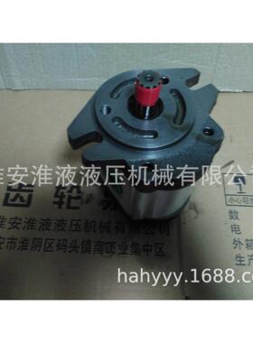 2GG1P04/06/08R/11R/14R/16R/18R/20R/22R/25R 液压系统等齿轮泵