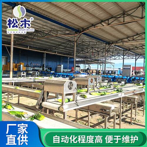 全自动玉米重量分选机农副产品重量分选流水线果蔬称重分级设备