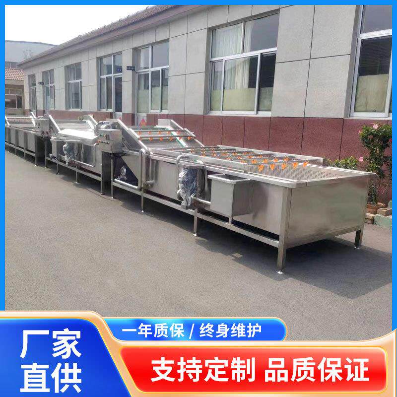 老姜全自动清洗机 连续式高压喷淋鲜姜清洗设备 黄芪去泥清洗机器