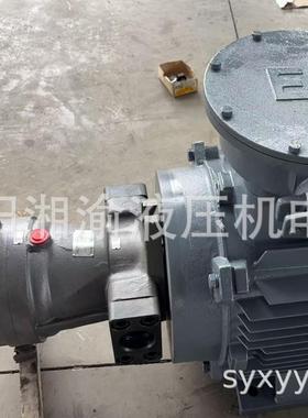 160YCY-YYB225M-6内轴直插式160PCY-Y225M-6油泵电机组125SCY-225