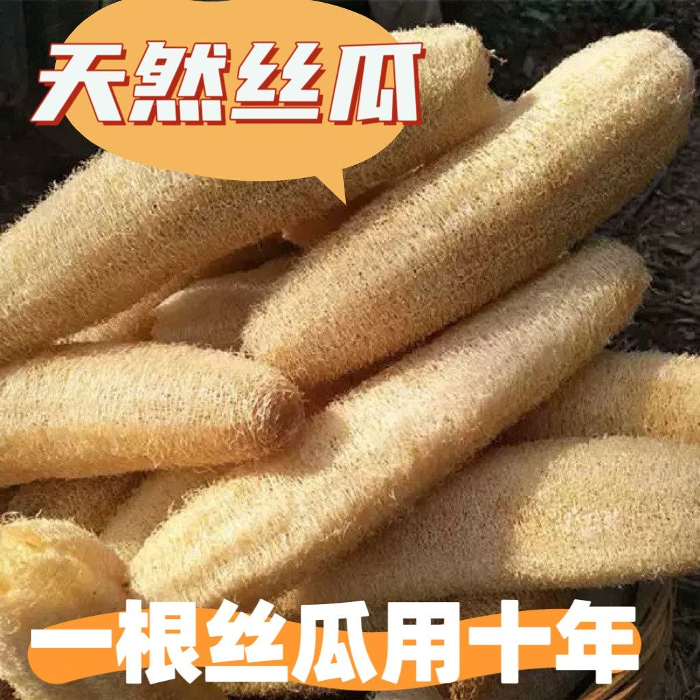 天然丝瓜瓤洗碗刷锅百洁布超大