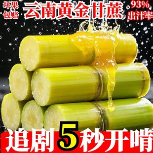 正宗云南黄金甘蔗当季新鲜脆甜黄皮甘蔗现砍中段长节脆甜皮薄包邮