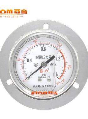 鹳山YN-60ZYN60ZT耐震轴向带边安装式压力表油压液压抗震表防震表