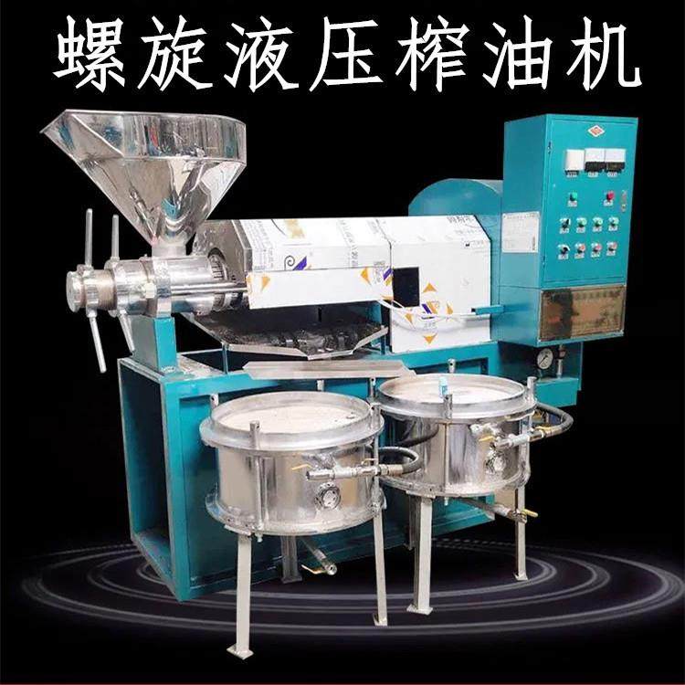 小型家用电卧式螺旋式榨油机 不锈钢商用液压核桃山茶叶子压榨机