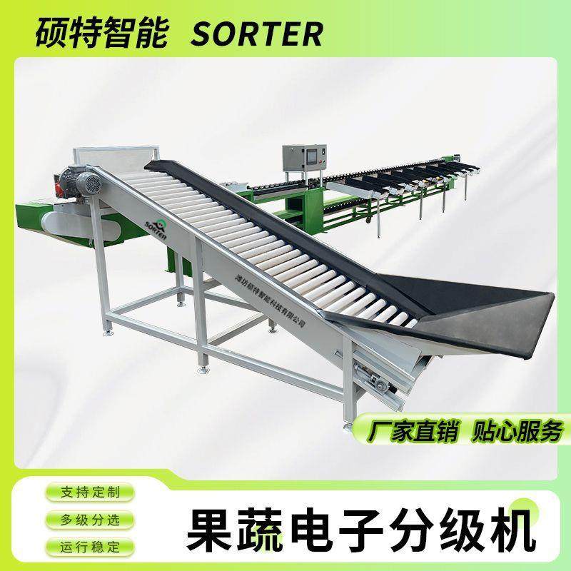 番茄称重选果机 人参果木瓜电子重量分选机 牛油果水果自动分拣机,清洗/食品/商业设备,肉制品加工设备,淘宝优惠券,粉丝福利购,淘宝优惠卷