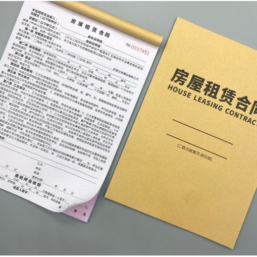 租房房屋租赁合同2025新版法律认可出租房商铺房东正规二联合同书