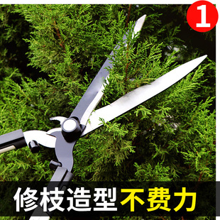 园艺剪刀剪树枝专用剪刀加长柄修剪花草工具家用粗枝园林果树大剪