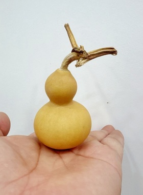 天然葫芦手捻手盘玩葫芦文玩摆件真葫芦迷你特小小号开口精品葫芦