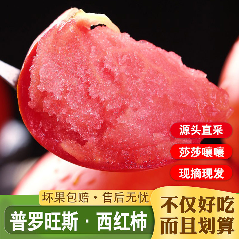 陕西泾阳普罗旺斯西红柿当季新鲜沙瓤番茄自然成熟生吃水果蔬菜