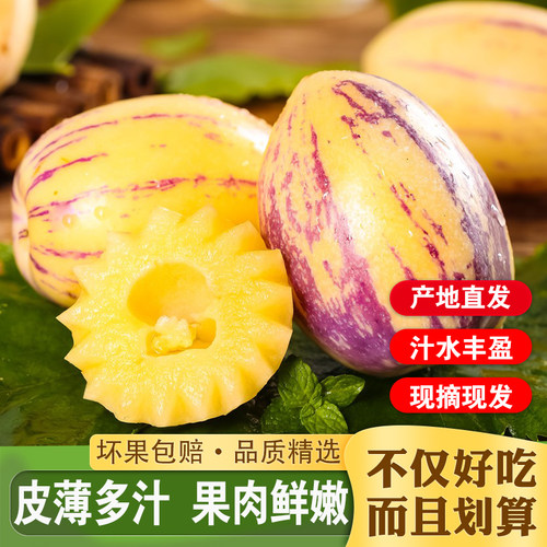 甘肃民勤沙漠精选大果人参果