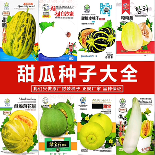 绿宝石羊角白沙黄金蜜哈密八里香籽薄皮超落花甜掉牙宝瓜水果种子