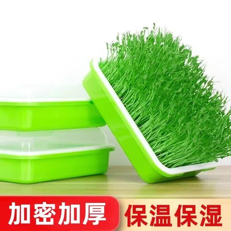 豆芽发芽盆水培蔬菜设备豌豆苗种植架无土栽培托家用芽苗菜育苗盘