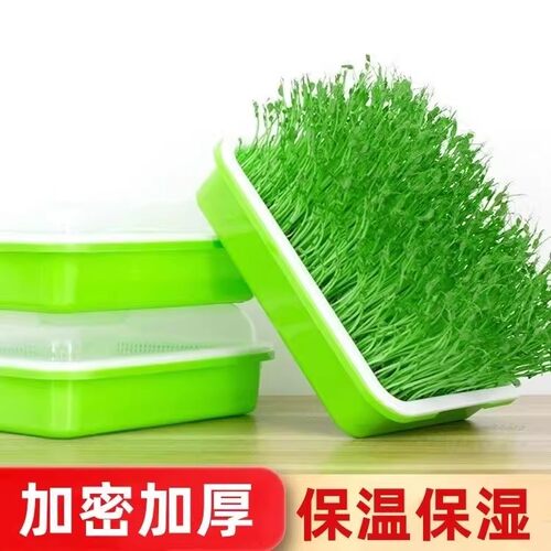 豆芽发芽盆水培豌豆苗种植架
