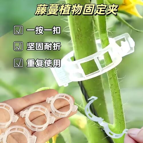 绿植果树植物固定夹卡扣藤蔓固定器秧苗爬藤支撑杆果蔬秧苗吊秧夹