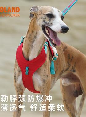 ZOOLAND狗狗胸背牵引绳小中大型犬遛狗工字型不勒脖专用宠物链子