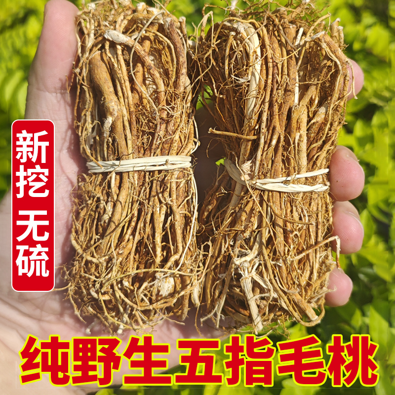 广西野生五指毛桃根正宗新鲜干货土茯苓煲汤料茶特级五爪龙中药材