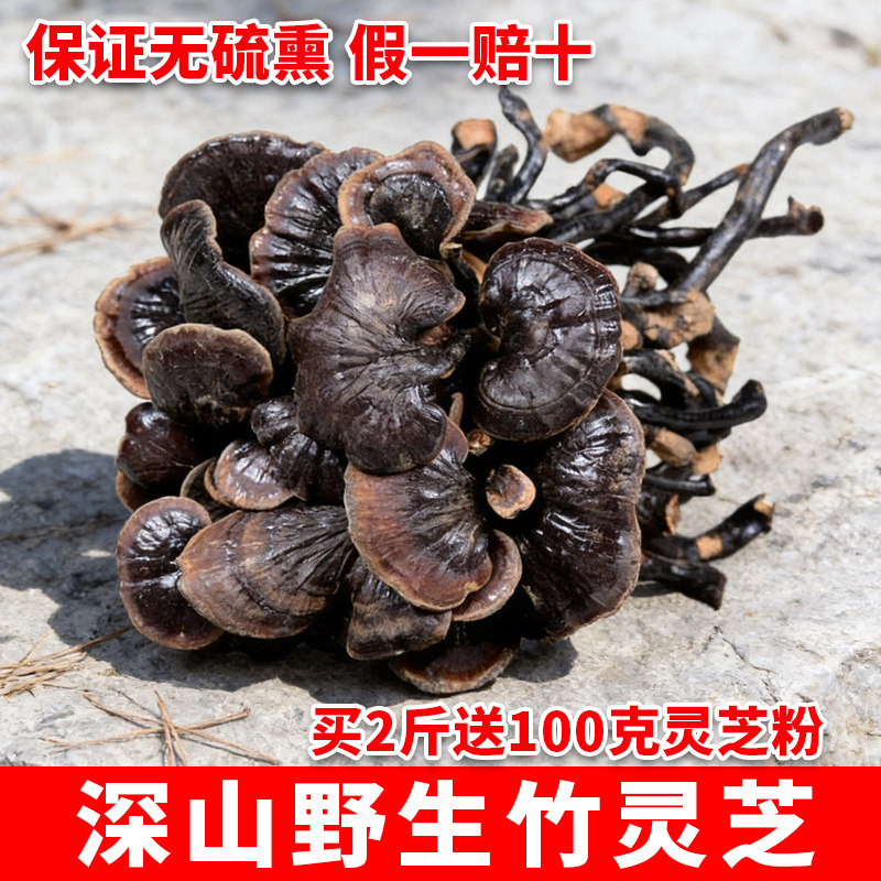 野生竹灵芝干货中药材正品深山特级天然采摘整枝带柄小灵芝泡酒