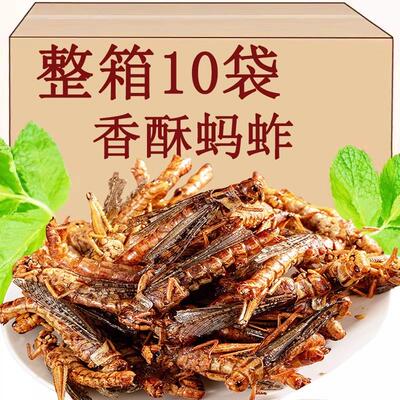 山东特产即食油炸五香香酥孜然蚂蚱零食小吃高蛋白蝗虫烧烤下酒菜
