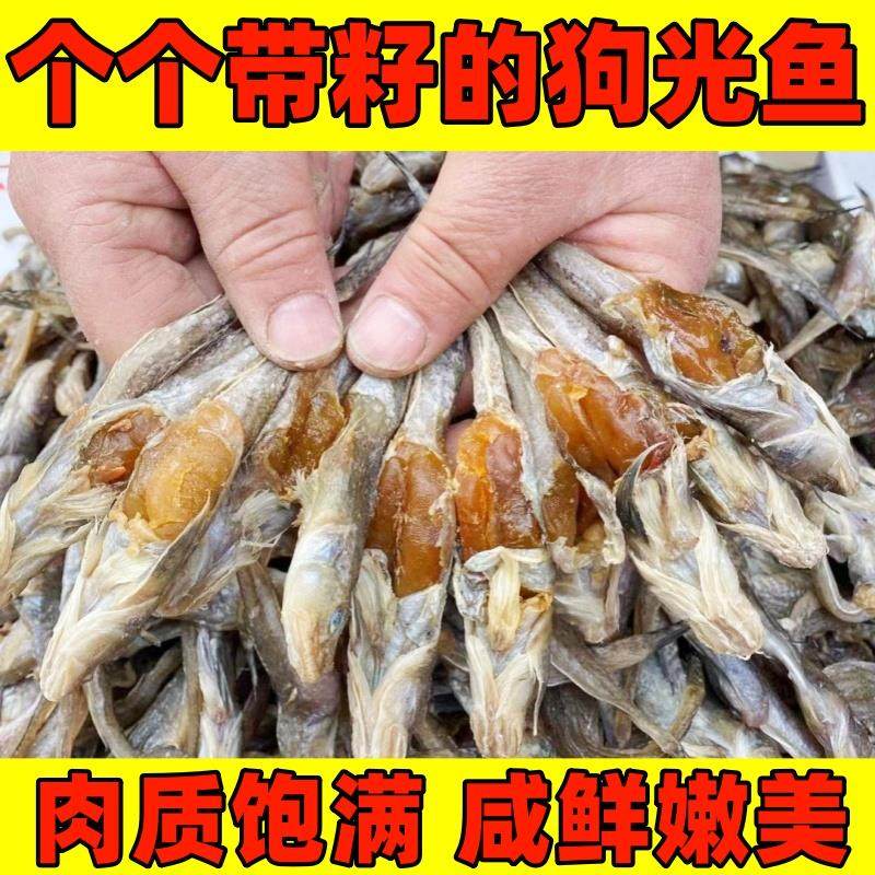 带籽狗光鱼500克 油光鱼即食海鲜 胖头鱼风味鱼干 渤海湾带籽小咸