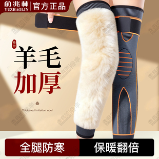 羊毛绑带护膝保暖老寒腿男女士防滑加厚老人护腿防寒骑车专用御寒