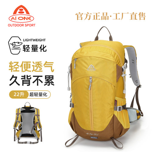 艾王短途徒步登山包22升双肩背包