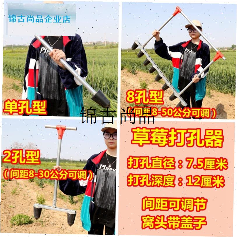 草莓栽苗神器种植蔬菜移苗移栽器农用起垄机土R打洞种菜打孔器工,