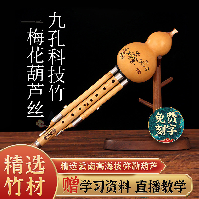 滇南古韵九孔葫芦丝C小学生专用图片