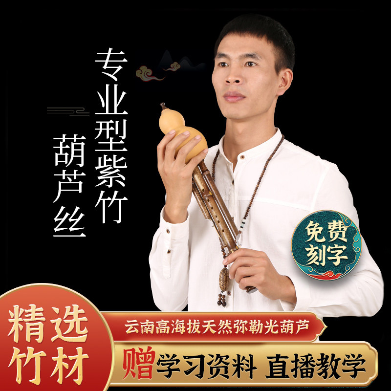 专业演奏型葫芦丝乐器降B调C调小DAGF调成人小朋友滇南古韵旗舰店