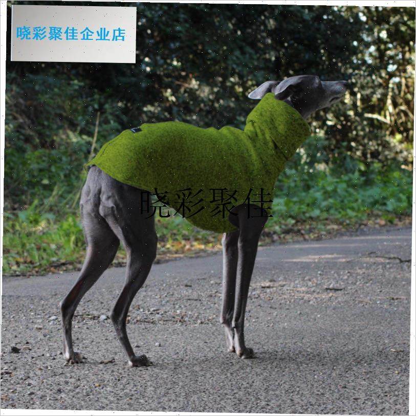 Whippet 宠物狗q狗惠比特衣服小灵缇犬背心秋季保暖御寒成衣l