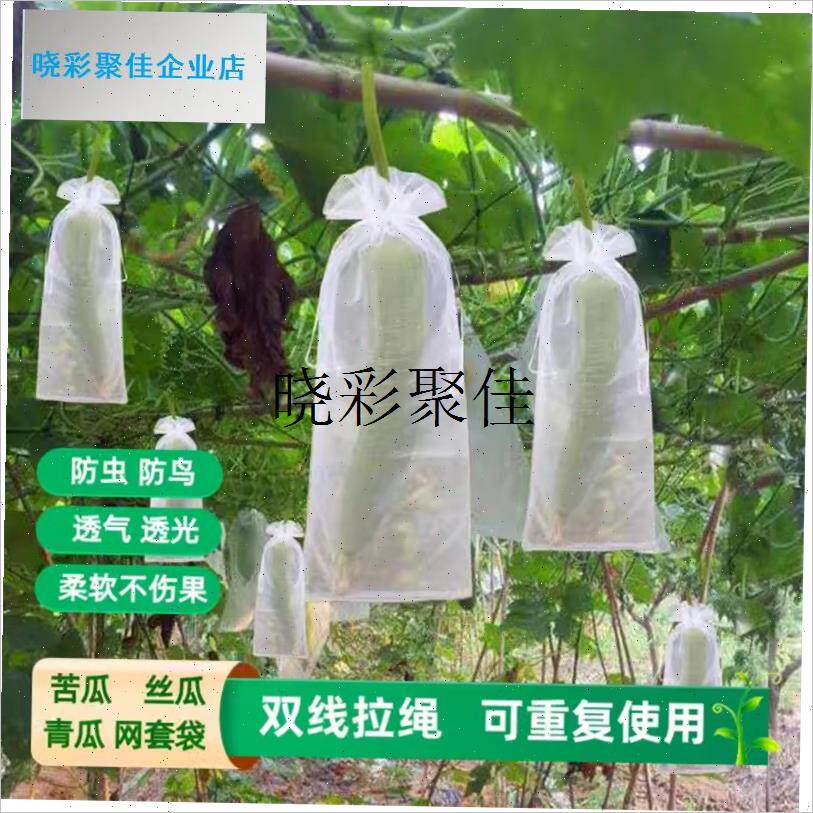 丝瓜黄瓜a青瓜苦瓜套袋专用袋防虫袋保护套瓜果蔬菜水果瓜果网套l