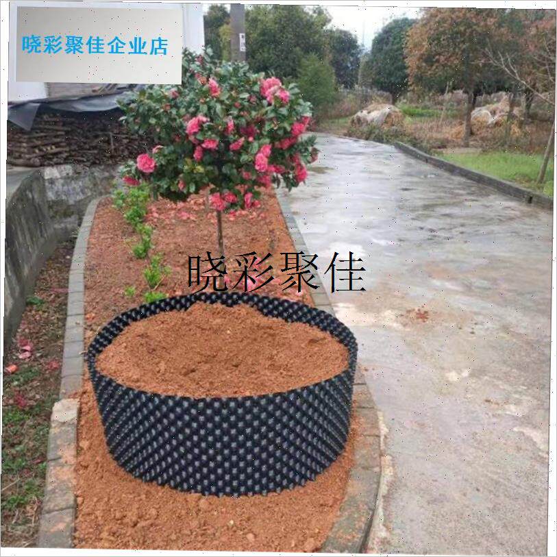 植物控根器厂家直销控根器塑料围槟榔树植树控根U器专用围树板园l