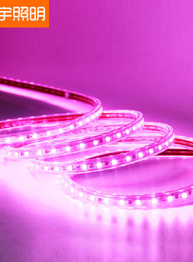紫色led灯带紫光粉色灯带家用220v装饰浪漫创意超亮户外防水长条