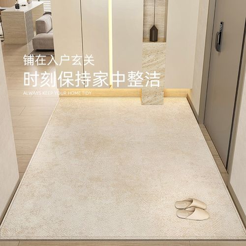 高级感入户门地垫地毯门垫进门大门口玄关别墅防滑脚垫可裁剪定制