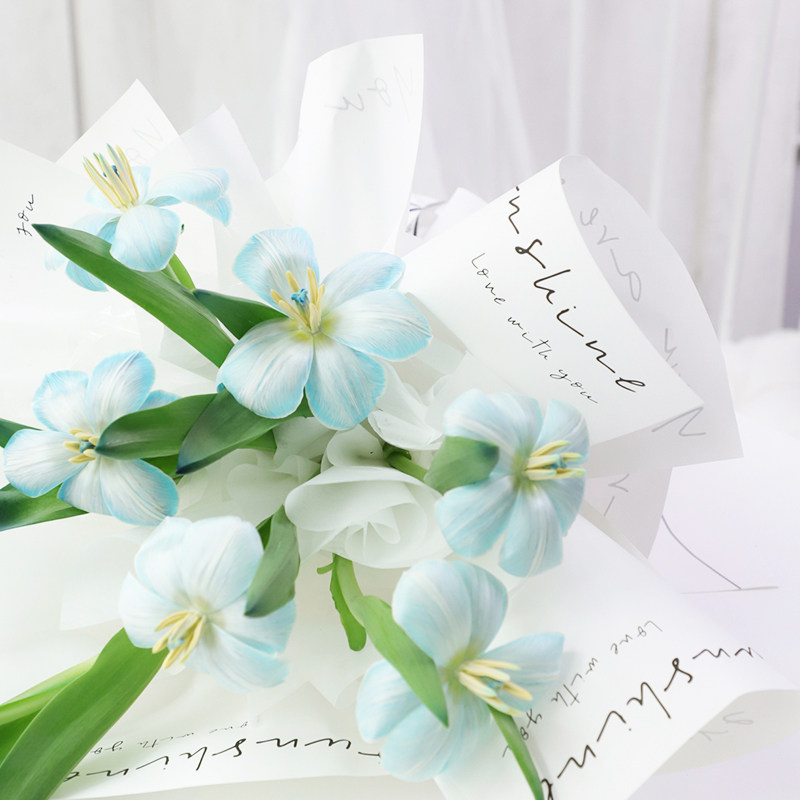 玫瑰鲜花珠光喷色剂花艺干花蓝色着色染色喷剂配色染料花束材料,鲜花速递/花卉仿真/绿植园艺,花艺材料,淘宝优惠券,粉丝福利购,淘宝优惠卷