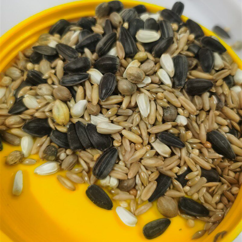 超飞饲料 虎皮鹦鹉文鸟专用鸟食饲料牡丹玄凤粮食鸟粮食物1罐,宠物/宠物食品及用品,鸟食,淘宝优惠券,粉丝福利购,淘宝优惠卷