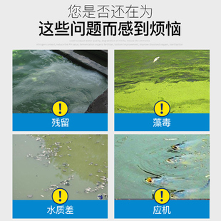 毒碧水安泡腾片水产养殖解小龙虾塘解有机酸调水毒果酸鱼塘毒剂解