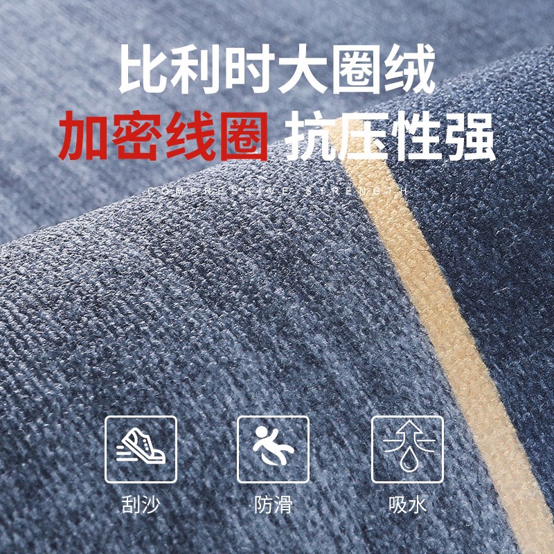 轻奢家用进门门口地垫入户门垫防滑脚垫子客厅门厅踩脚地毯定制