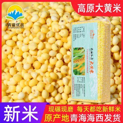 大黄米新正宗纯黏粘糯5斤