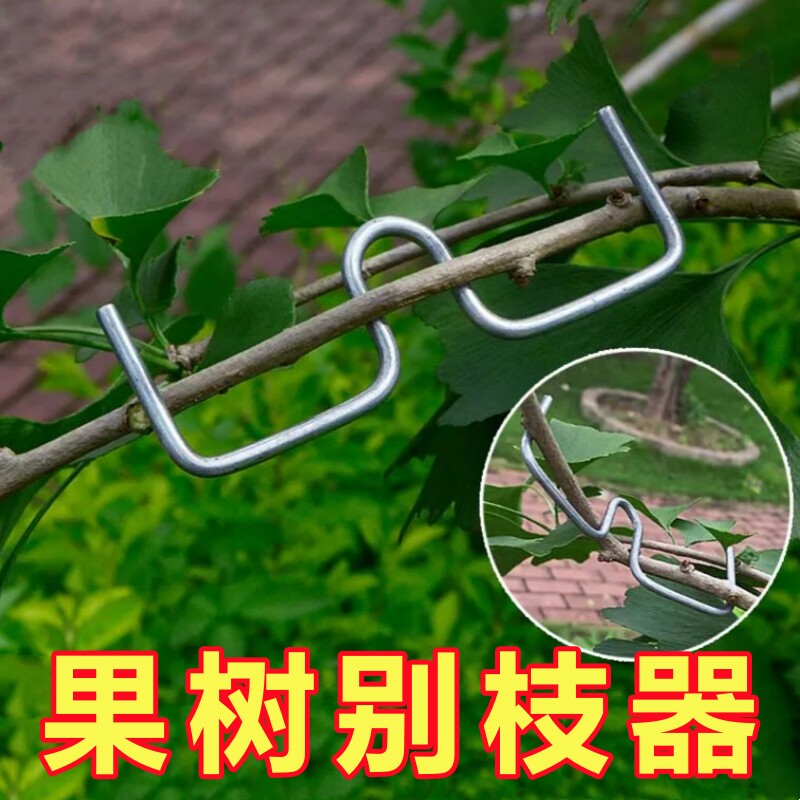 果树拉枝器SM型定型器m型别枝压枝苹果柑橘月季盆景用弯枝夹神器