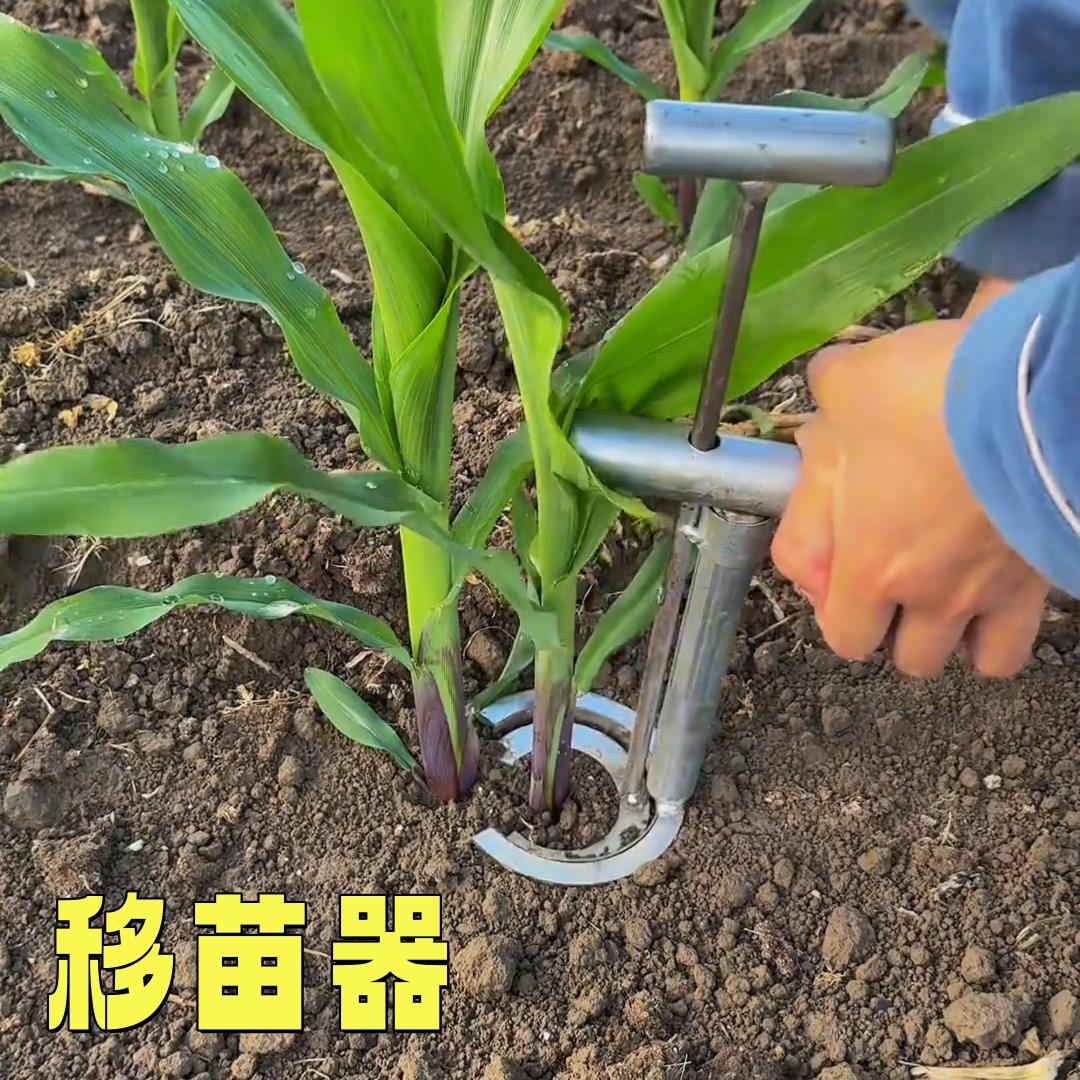 移苗栽苗器不锈钢移栽神器种菜打孔器秧苗泥土打洞器玉米起苗工具