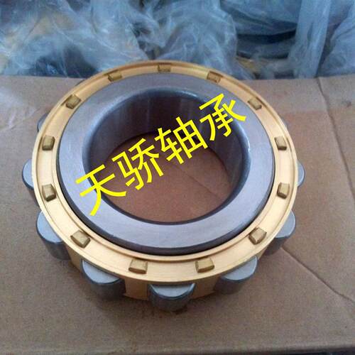 减速机轴承 RN205E RN206E RN307E RN309E RN312E RN219E  RN222E