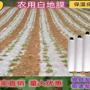 白色地膜农用种植保温胶纸塑料薄膜大棚蔬菜果树园建筑护路养护膜